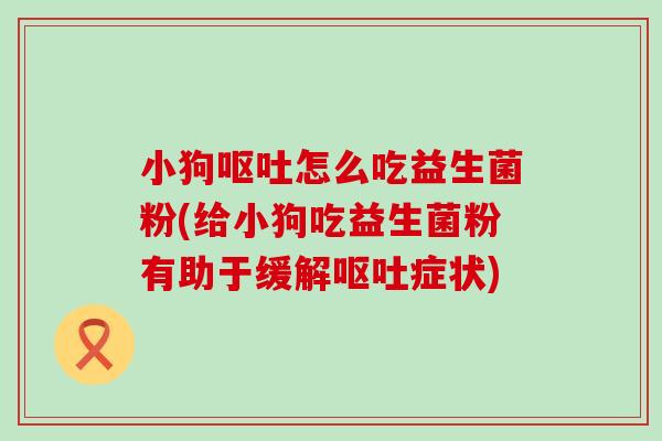 小狗怎么吃益生菌粉(给小狗吃益生菌粉有助于缓解症状)