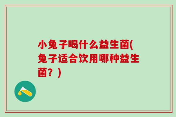 小兔子喝什么益生菌(兔子适合饮用哪种益生菌？)