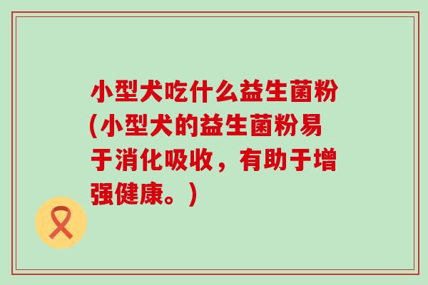 小型犬吃什么益生菌粉(小型犬的益生菌粉易于消化吸收，有助于增强健康。)