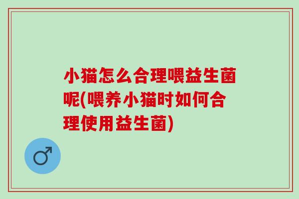 小猫怎么合理喂益生菌呢(喂养小猫时如何合理使用益生菌)