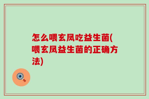 怎么喂玄凤吃益生菌(喂玄凤益生菌的正确方法)
