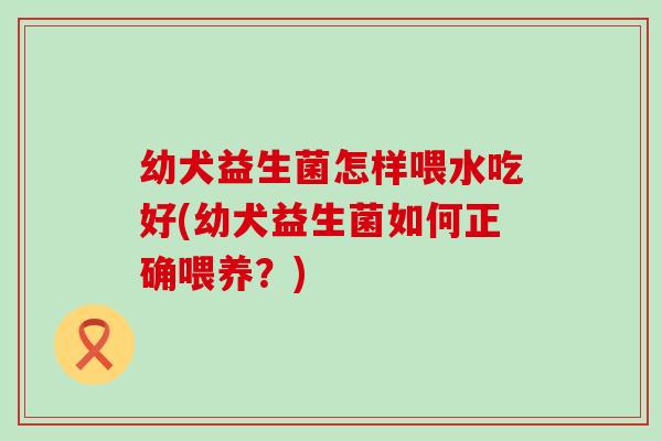 幼犬益生菌怎样喂水吃好(幼犬益生菌如何正确喂养？)