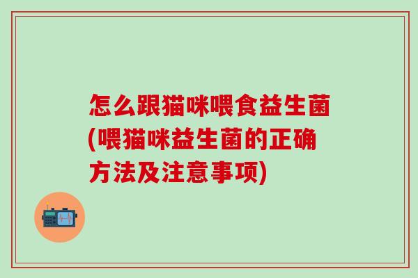怎么跟猫咪喂食益生菌(喂猫咪益生菌的正确方法及注意事项)
