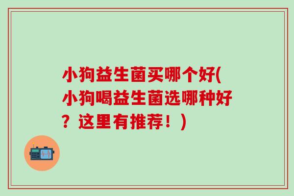 小狗益生菌买哪个好(小狗喝益生菌选哪种好？这里有推荐！)