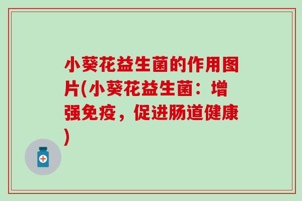 小葵花益生菌的作用图片(小葵花益生菌：增强，促进肠道健康)