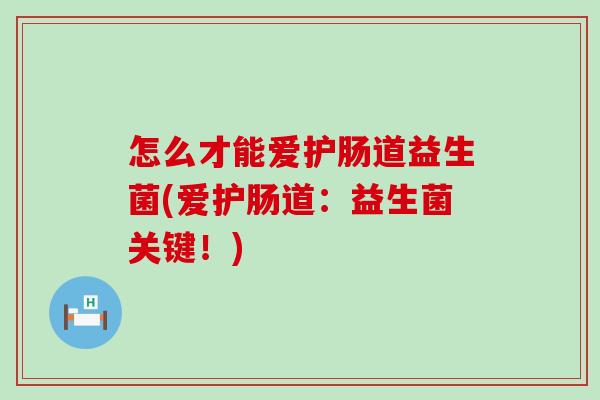 怎么才能爱护肠道益生菌(爱护肠道：益生菌关键！)