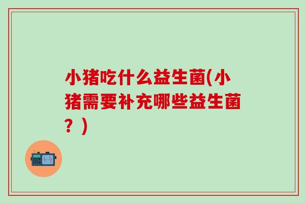 小猪吃什么益生菌(小猪需要补充哪些益生菌？)