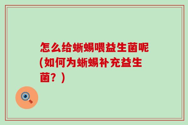 怎么给蜥蜴喂益生菌呢(如何为蜥蜴补充益生菌？)