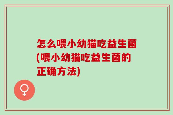 怎么喂小幼猫吃益生菌(喂小幼猫吃益生菌的正确方法)
