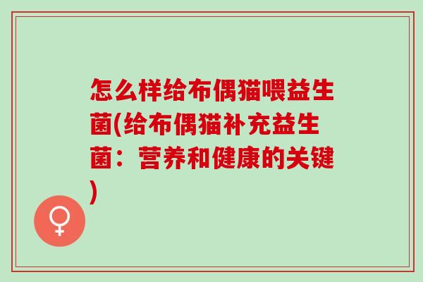 怎么样给布偶猫喂益生菌(给布偶猫补充益生菌：营养和健康的关键)