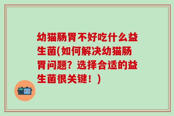 幼猫肠胃不好吃什么益生菌(如何解决幼猫肠胃问题？选择合适的益生菌很关键！)