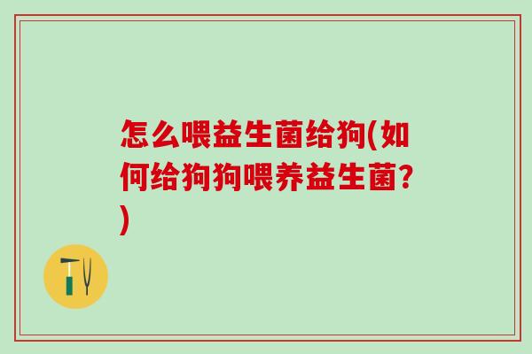 怎么喂益生菌给狗(如何给狗狗喂养益生菌？)