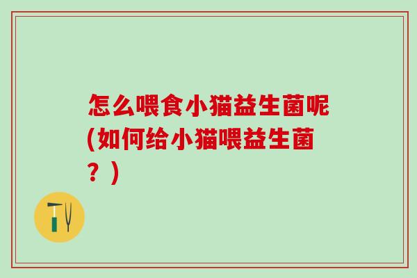 怎么喂食小猫益生菌呢(如何给小猫喂益生菌？)