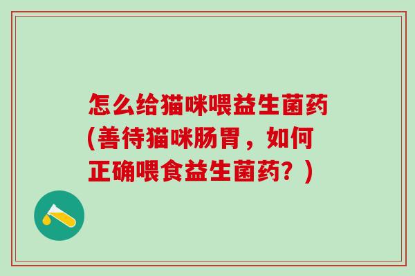 怎么给猫咪喂益生菌药(善待猫咪肠胃，如何正确喂食益生菌药？)