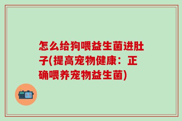 怎么给狗喂益生菌进肚子(提高宠物健康：正确喂养宠物益生菌)