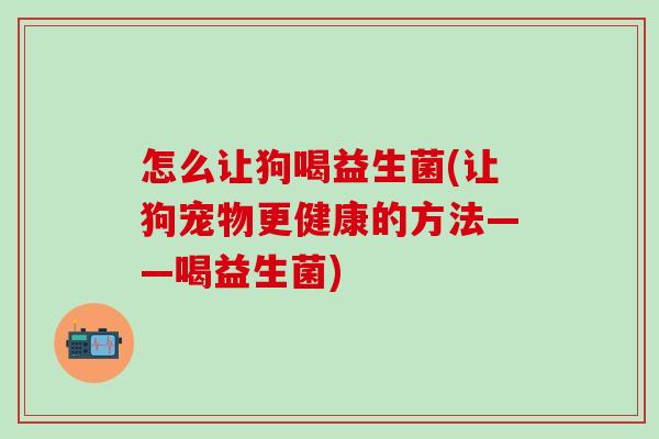 怎么让狗喝益生菌(让狗宠物更健康的方法——喝益生菌)