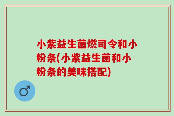 小紫益生菌燃司令和小粉条(小紫益生菌和小粉条的美味搭配)
