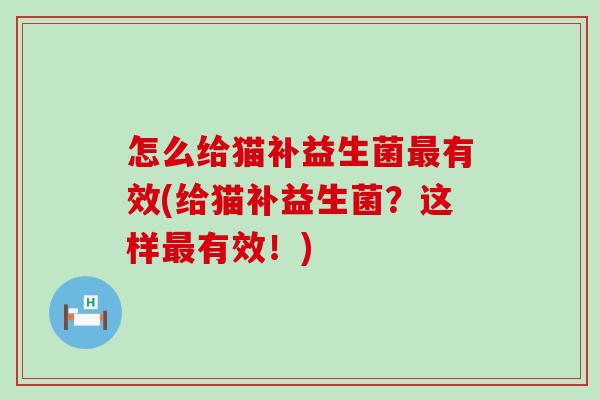 怎么给猫补益生菌有效(给猫补益生菌？这样有效！)