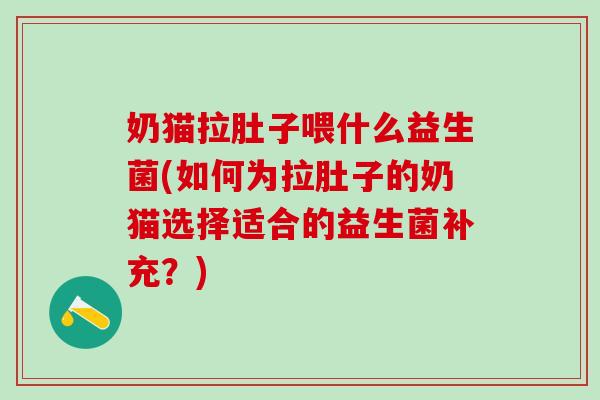 奶猫拉肚子喂什么益生菌(如何为拉肚子的奶猫选择适合的益生菌补充？)