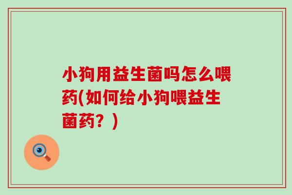 小狗用益生菌吗怎么喂药(如何给小狗喂益生菌药？)