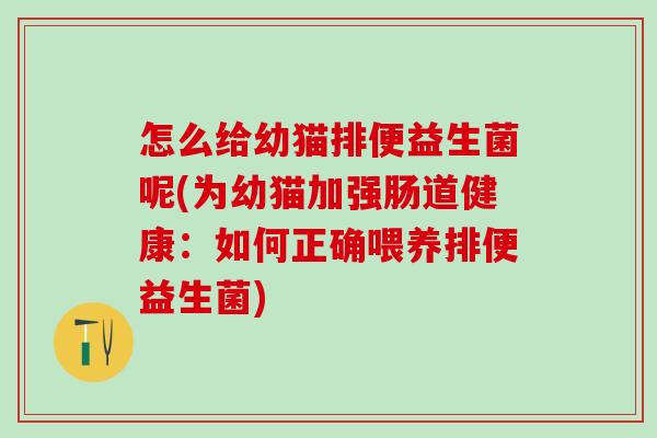 怎么给幼猫排便益生菌呢(为幼猫加强肠道健康：如何正确喂养排便益生菌)