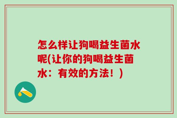 怎么样让狗喝益生菌水呢(让你的狗喝益生菌水：有效的方法！)