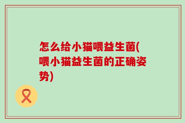 怎么给小猫喂益生菌(喂小猫益生菌的正确姿势)