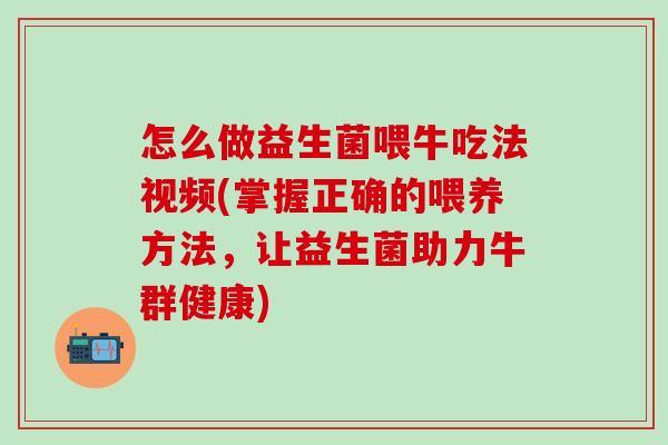 怎么做益生菌喂牛吃法视频(掌握正确的喂养方法，让益生菌助力牛群健康)