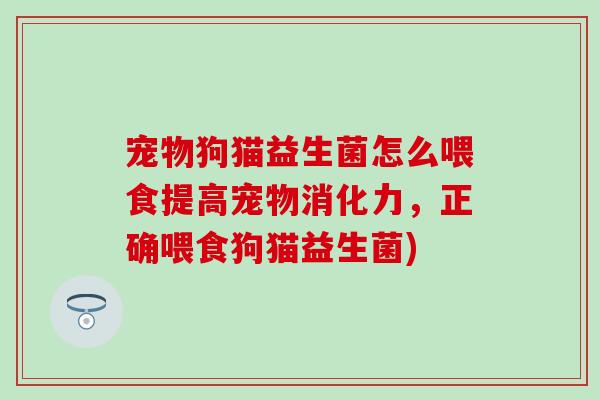 宠物狗猫益生菌怎么喂食提高宠物消化力，正确喂食狗猫益生菌)