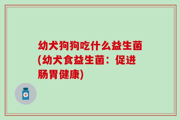 幼犬狗狗吃什么益生菌(幼犬食益生菌:促进肠胃健康) 幼犬狗狗吃什么益生菌(幼犬食益生菌:促进肠胃健康)