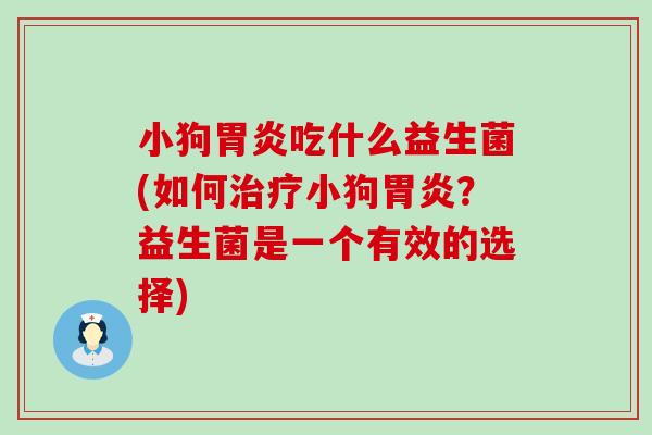 小狗吃什么益生菌(如何小狗？益生菌是一个有效的选择)