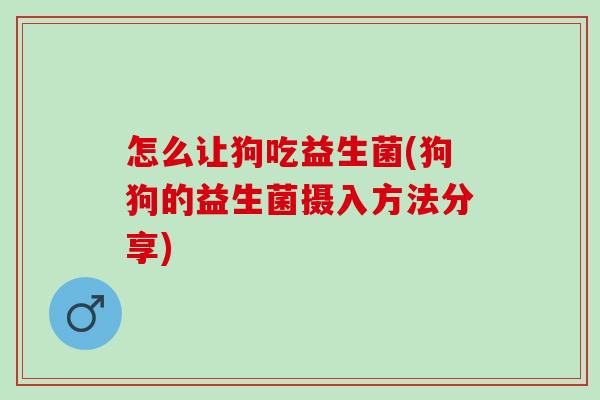 怎么让狗吃益生菌(狗狗的益生菌摄入方法分享)