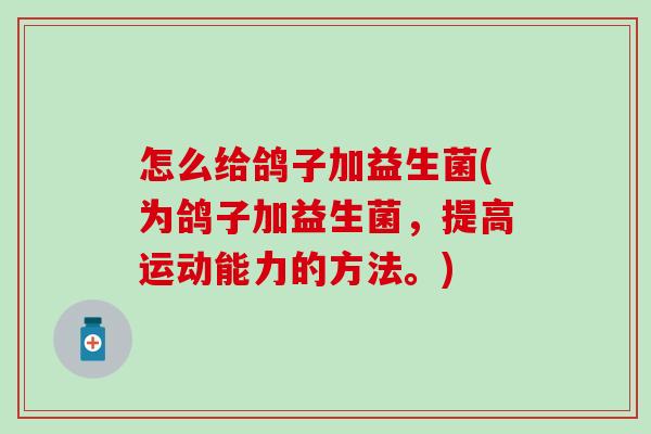 怎么给鸽子加益生菌(为鸽子加益生菌，提高运动能力的方法。)