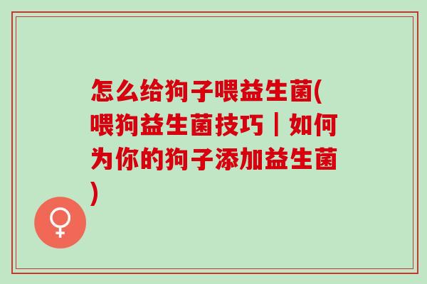 怎么给狗子喂益生菌(喂狗益生菌技巧｜如何为你的狗子添加益生菌)
