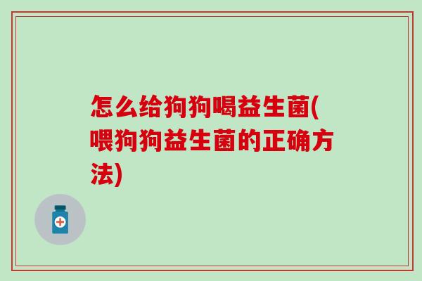 怎么给狗狗喝益生菌(喂狗狗益生菌的正确方法)