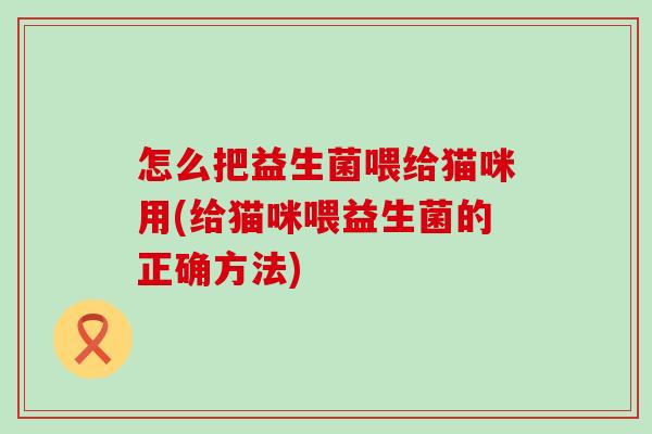 怎么把益生菌喂给猫咪用(给猫咪喂益生菌的正确方法)