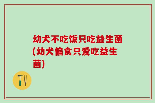 幼犬不吃饭只吃益生菌(幼犬偏食只爱吃益生菌)