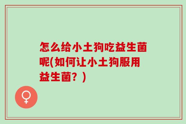 怎么给小土狗吃益生菌呢(如何让小土狗服用益生菌？)