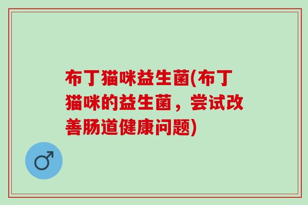 布丁猫咪益生菌(布丁猫咪的益生菌，尝试改善肠道健康问题)