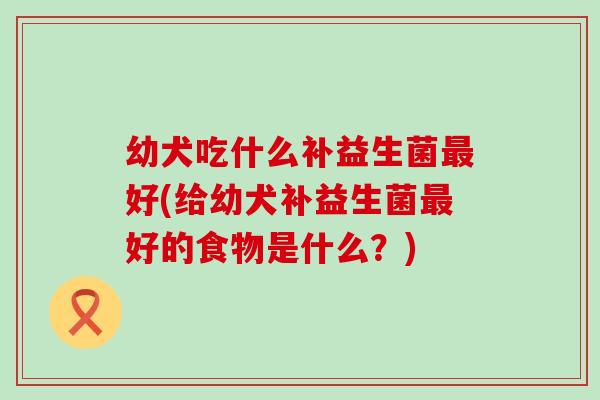 幼犬吃什么补益生菌好(给幼犬补益生菌好的食物是什么？)