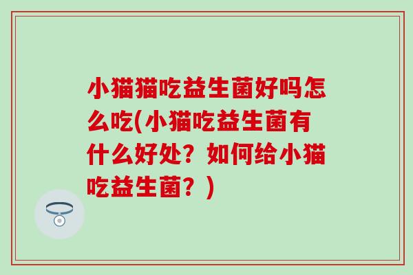 小猫猫吃益生菌好吗怎么吃(小猫吃益生菌有什么好处？如何给小猫吃益生菌？)