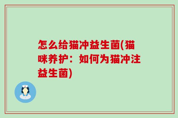 怎么给猫冲益生菌(猫咪养护：如何为猫冲注益生菌)