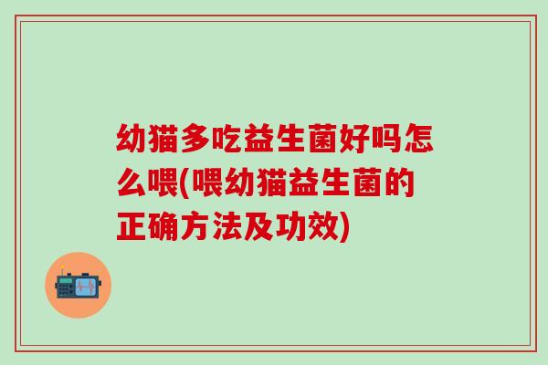 幼猫多吃益生菌好吗怎么喂(喂幼猫益生菌的正确方法及功效)