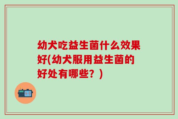 幼犬吃益生菌什么效果好(幼犬服用益生菌的好处有哪些？)