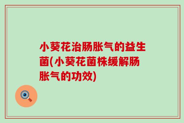 小葵花肠的益生菌(小葵花菌株缓解肠的功效)