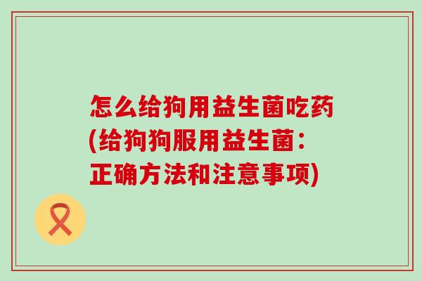 怎么给狗用益生菌吃药(给狗狗服用益生菌：正确方法和注意事项)