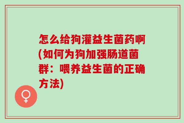 怎么给狗灌益生菌药啊(如何为狗加强肠道菌群：喂养益生菌的正确方法)