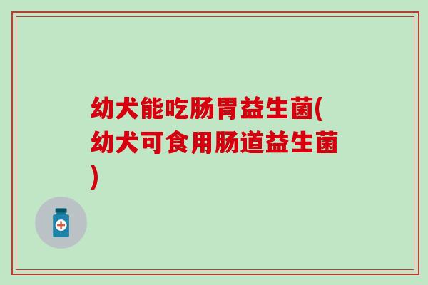幼犬能吃肠胃益生菌(幼犬可食用肠道益生菌)