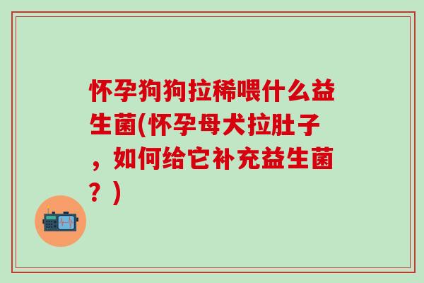 怀孕狗狗拉稀喂什么益生菌(怀孕母犬拉肚子，如何给它补充益生菌？)