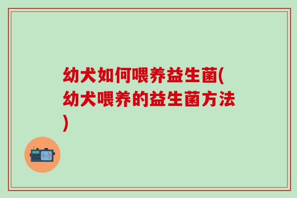 幼犬如何喂养益生菌(幼犬喂养的益生菌方法)